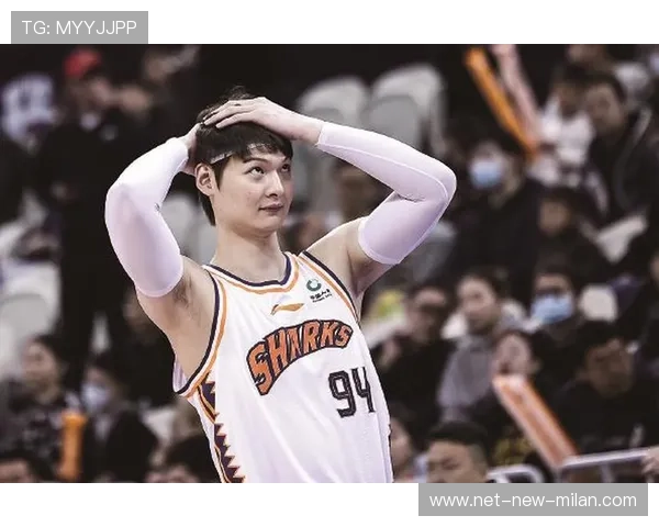 王哲林篮板低位单打,福建锋线高效:内线筑底,外线焕发新生